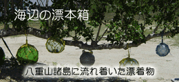海辺の漂本箱　八重山諸島の漂着物