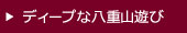 ディープな八重山遊び