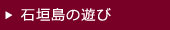石垣島の遊び