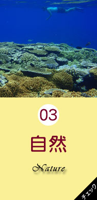 5分で分かる石垣島・八重山の旅　自然