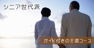 シニア世代派　ガイド付きの王道コース