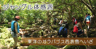 ジャングル体感派　東洋のガラパゴス西表島へいざ