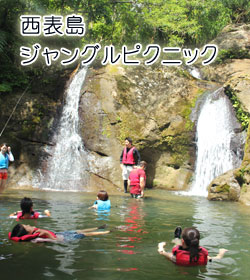 西表島ジャングルピクニック