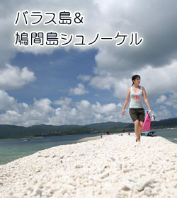 バラス島＆鳩間島シュノーケル
