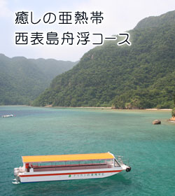 癒しの亜熱帯・西表島舟浮コース