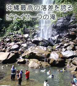沖縄最高の落差を誇るピナイサーラの滝