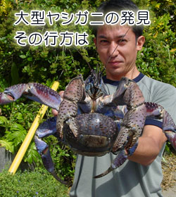 大型ヤシガニの発見 その行方は