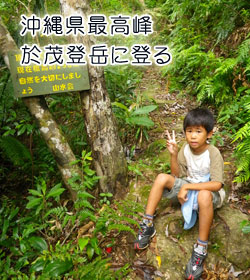 沖縄県最高峰　於茂登岳に登る 