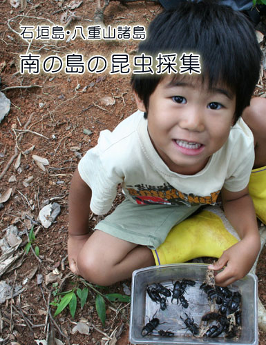石垣島・八重山諸島　南の島の昆虫採集