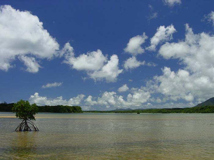 石垣島　静かな川平湾の入り江