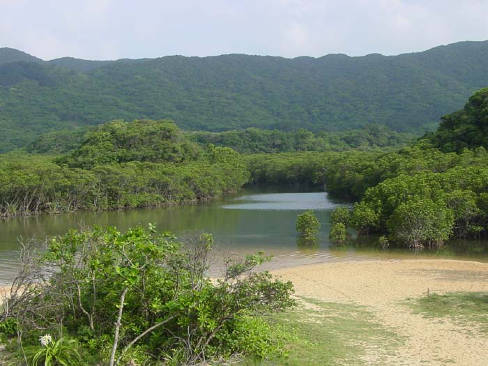 石垣島　吹通川