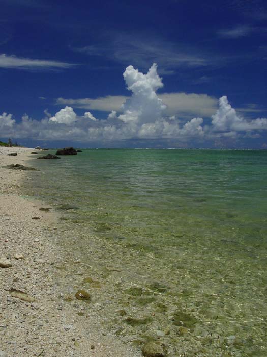 石垣島　白保の海岸