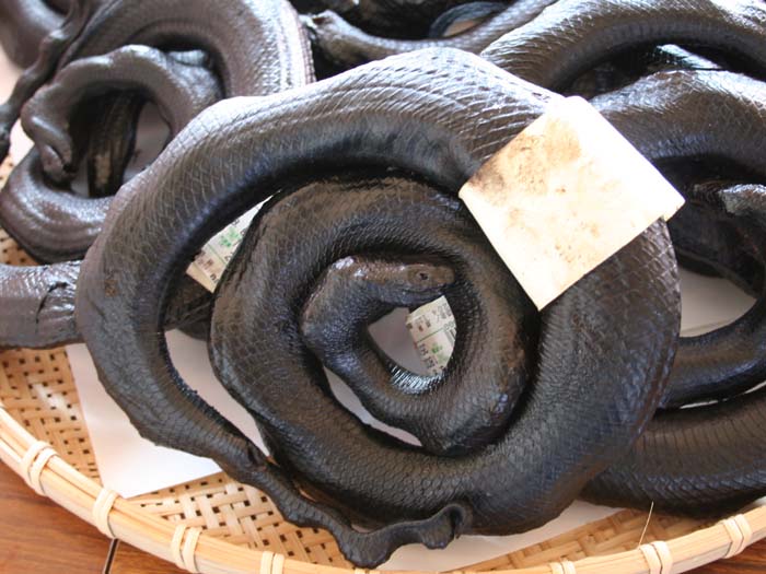 ウミヘビの燻製
