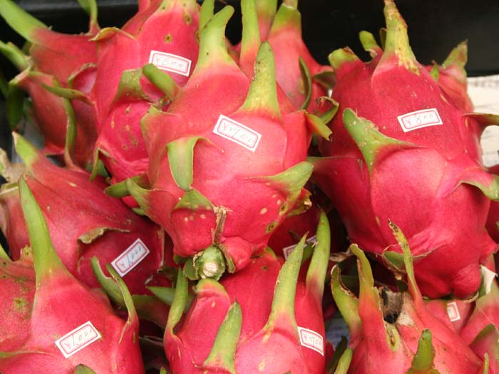 ドラゴンフルーツ