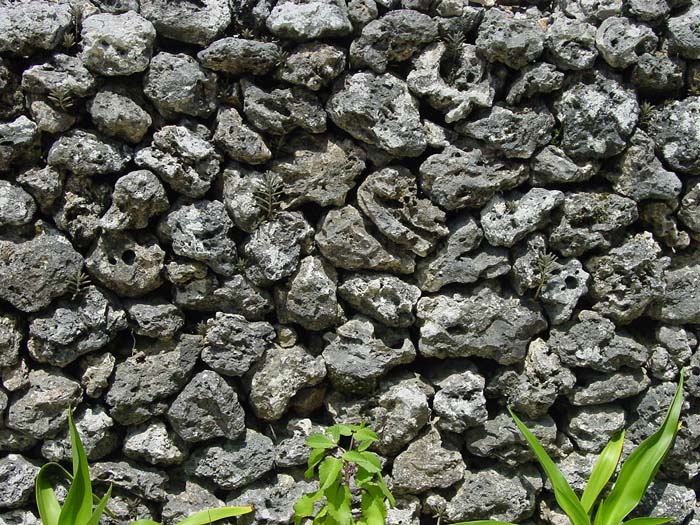 サンゴでできた石垣