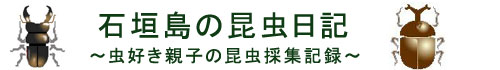 石垣島の昆虫日記