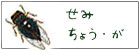 石垣島のセミ・チョウ・ガ採集記