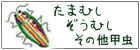 石垣島のタマムシ・ゾウムシ採集記