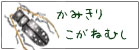 石垣島のカミキリ・コガネムシ採集記